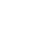 Mosquito